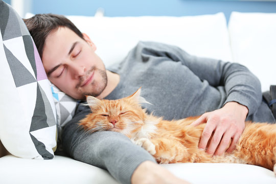 Young Man With Fluffy Cat Lying On A Sofa