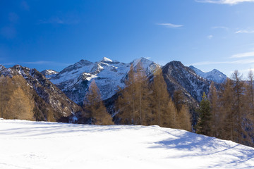 Fototapeta na wymiar Panorama alpino con montagne, alberi e neve