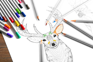 Coloring of deer with pencils on table