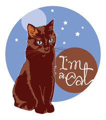 Black cat on a color background with stars and hand drawn lettering