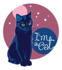 Black cat on a color background with stars and hand drawn lettering
