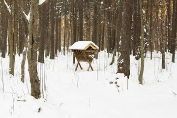 Feed trough in winter forest