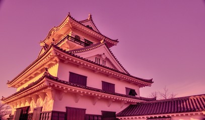 Fototapeta premium castle