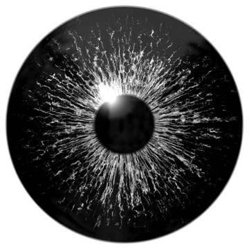 Black alien, bird, reptile or wizard eye