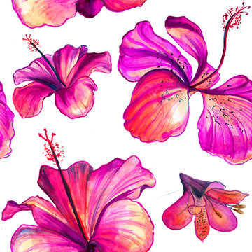 Hibiscus flowers  seamless pattern
