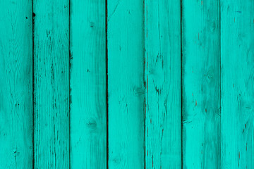 Natural wooden mint boards, wall or fence with knots. Painted turquoise wooden vertical planks. Abstract textured background, empty template