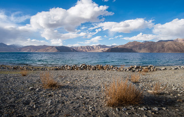 Jammu-Kashmir, ladakh, Northern India., Pangong Lake with a beautiful mountain view