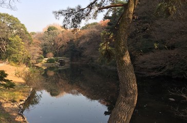 Bridge of Meiji Jingu in Tokyo - Japan