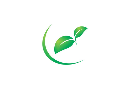 Green Two Leaf Logo