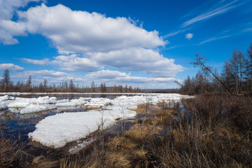 Obraz premium Spring day landscape with river, blue cloudy sky, forest and ice 