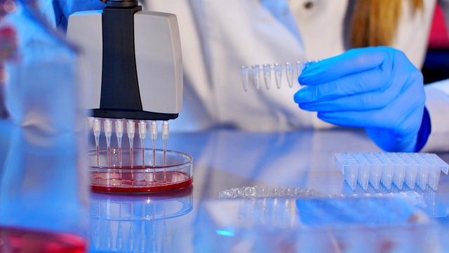 Lab technician performs medical tests