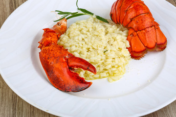 Risotto with lobster