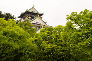 Fototapeta na wymiar Old castle in Japan. Osaka Japan 