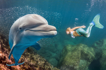 dolphin underwater meets a blonde mermaid