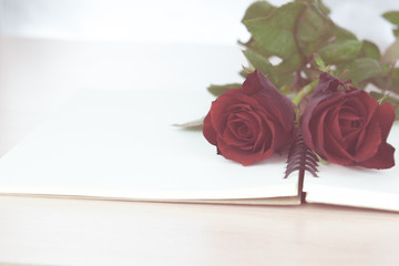 Red roses on notebook prepare to gift on Valentine's Day