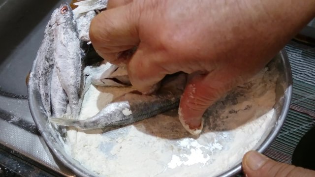 Fishes getting floured for fry pan