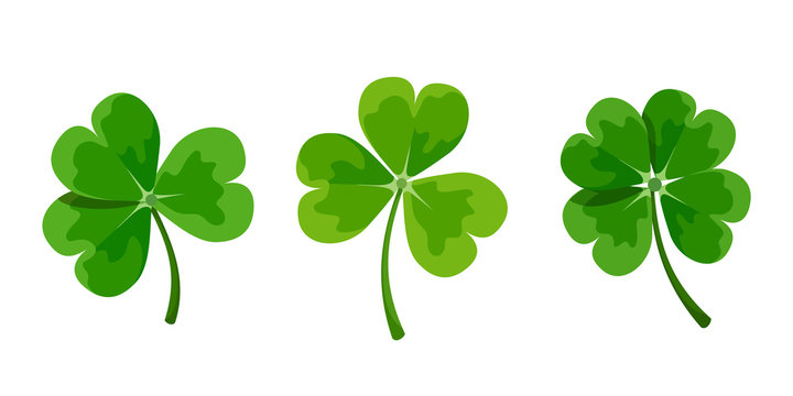 Vector set of green clover leaves (shamrock) isolated on a white background.