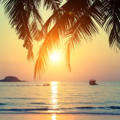 Poster Prachtige zonsondergang aan de tropische kust. © De Visu