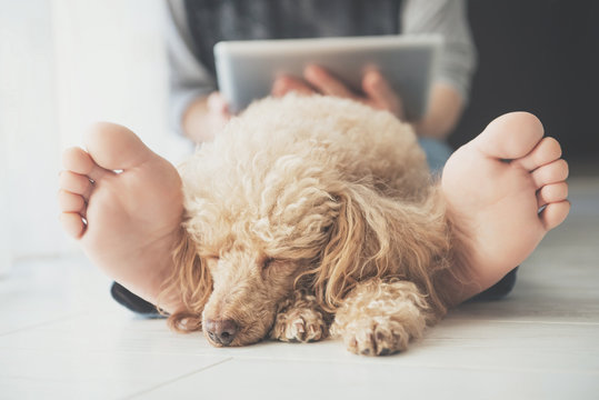 Young women is resting with a dog on the floor at home and using tablet .