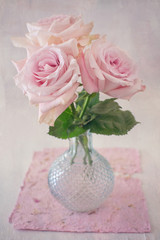 Delicate pink rose in a glass vase on a table.