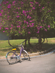 Red bicycle in summer park