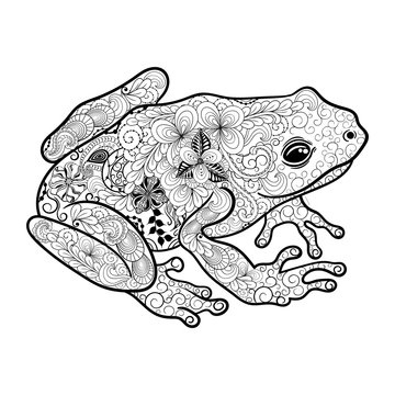 Frog doodle