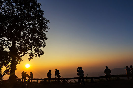 Peoples and trees silhouetted with stunning sunset