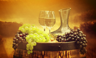 Panele Szklane Podświetlane  Wino i winnica o zachodzie słońca