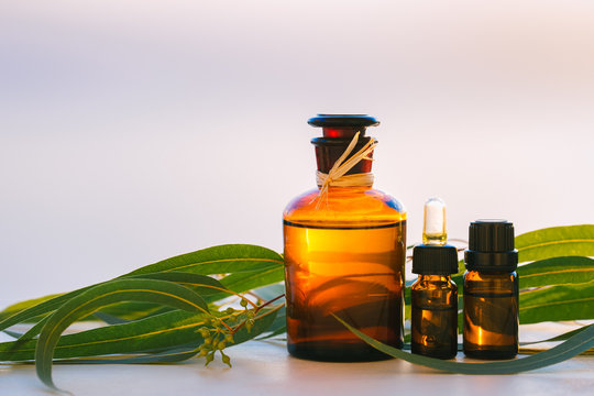 Eucalyptus aromatherapy essential oils in bottles