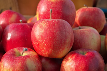 Fototapeta na wymiar Delicious fresh juicy apples in local fruit market