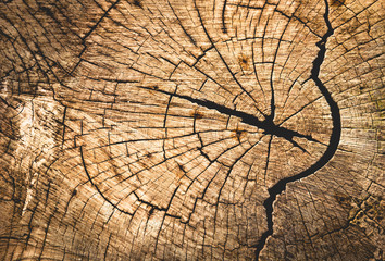 Fototapeta premium Old wood with art wood cracked for background