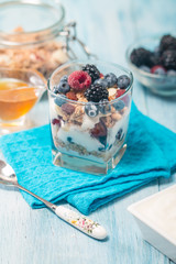 bowl of muesli and yogurt with fresh berries