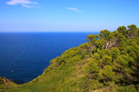 C&ocirc;te catalane