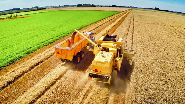 Aerial view of combine harvester at work in a wheat field. Full HD, 1080p