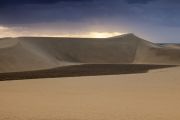Fototapeta na wymiar Sand Dunes in Maspalomas
