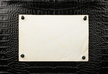 Fototapeta premium Old paper pin up pushpin to the crocodile skin