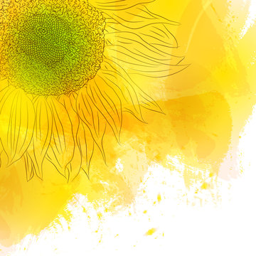 Sunflower. Bright Sunny yellow flower on watercolor background.