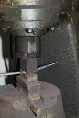 Blacksmith hammering hot iron