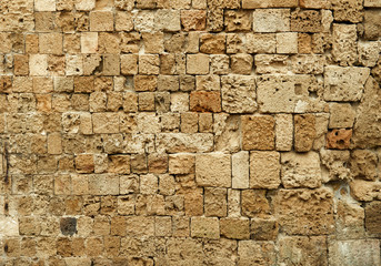 The brick wall texture background