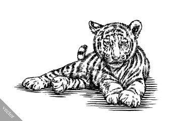 engrave ink draw tiger illustration