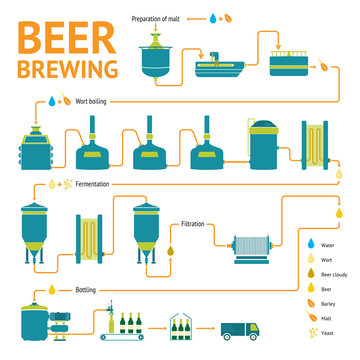 Beer brewing process, brewery factory production