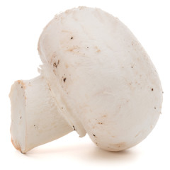 Champignon isolated on white background cutout