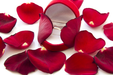 Wedding ring in gift box among red rose petals