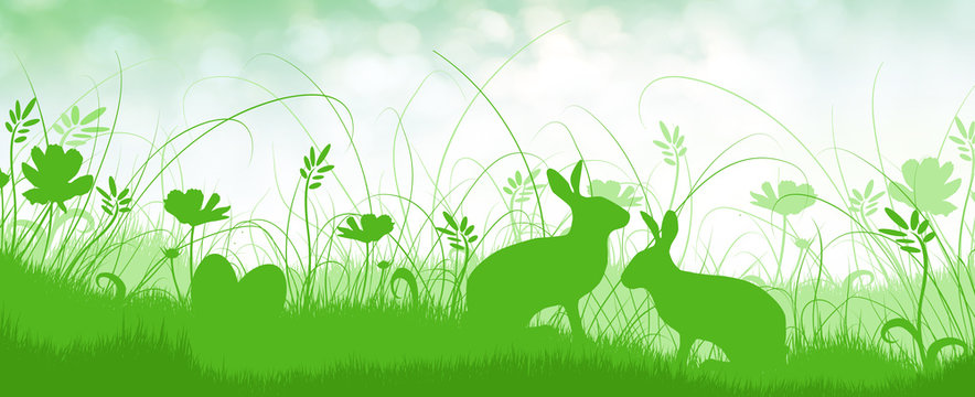 osterhase auf der wiese