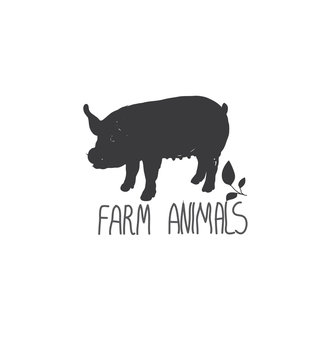 backgrounds with monochromatic picture of animal farm pigs with a sprig of leaves