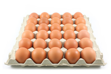Hen eggs in paper Panel on white background