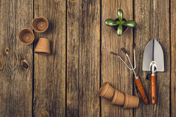 Preparing for a seasonal transplantation of plant or flower, in a gardening, vintage shed near house. Product still life image as lay flat or top view. Planting in the garden concept photograph.