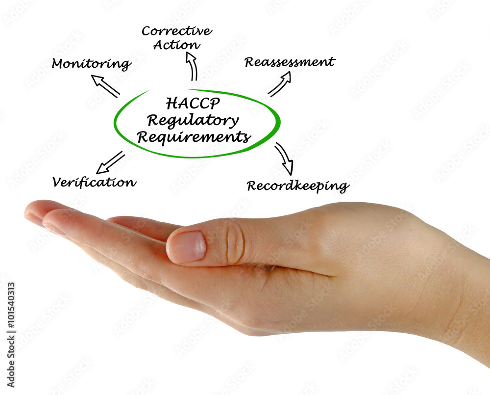 Canvas Prints Diagram of HACCP Regulatory Requirements