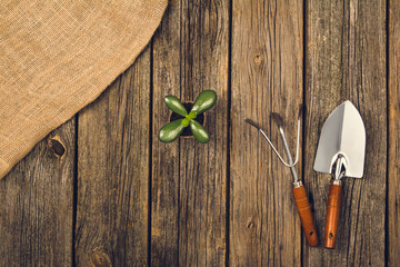 Preparing for a seasonal transplantation of plant or flower, in a gardening, vintage shed near house. Product still life image as lay flat or top view. Planting in the garden concept photograph.