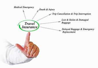 Diagram of Travel Insurance